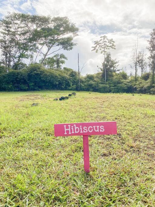 Hibiscus Hale, Full Kitchen, King Bed, Parking Apartment Keaau Bagian luar foto